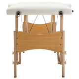 Cama Plegable De Masajes Portátil De 2 Secciones Con Accesorios Extras